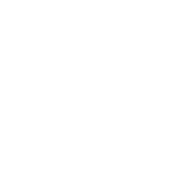 ATTIC & INSULATION