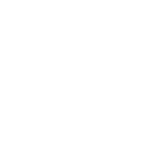 ATTIC & INSULATION